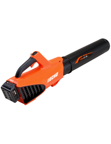 ECHO DPB-310 Agricol Girona