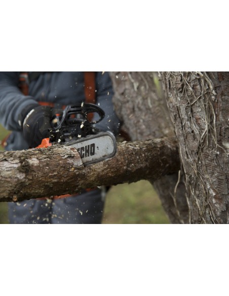 ECHO CS 281 WES /30